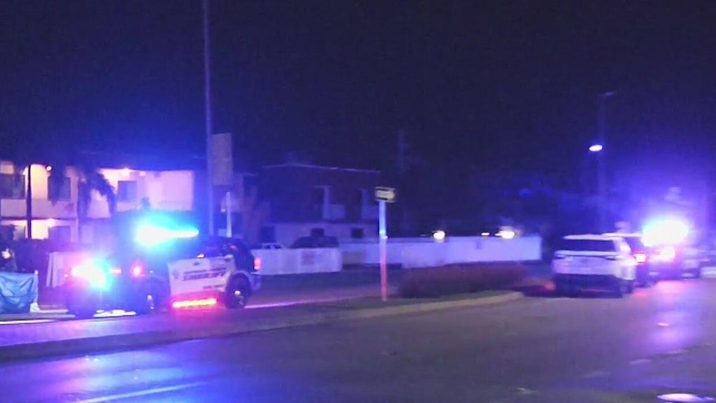 Woman accused of killing man in Dania Beach hit-and-run, BSO says — CBS Miami, Saratoga Community news