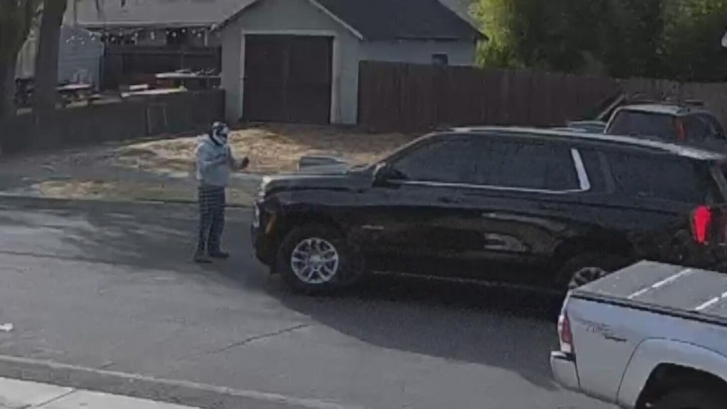 Woodland police dispute DHS account of ICE agent's collision with pedestrian — CBS Bay Area (KPIX), Saratoga Health news