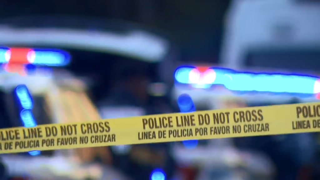 Man accused of stabbing, killing his own mother in Tamarac, BSO says — CBS Miami, Saratoga Health news