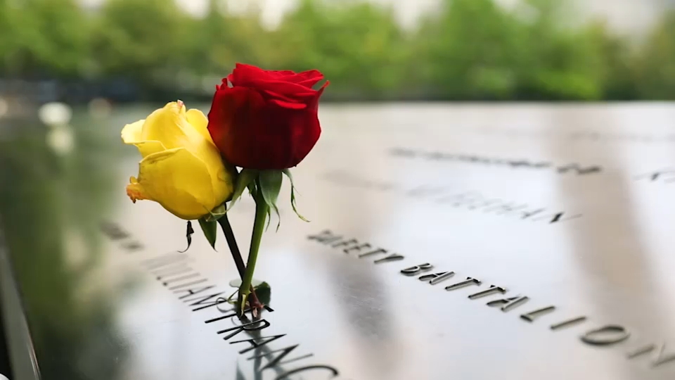 Second 9/11 victim identified with breakthrough genetic genealogy, NYC officials say
       — ABC 7 Bay Area, Saratoga Community news