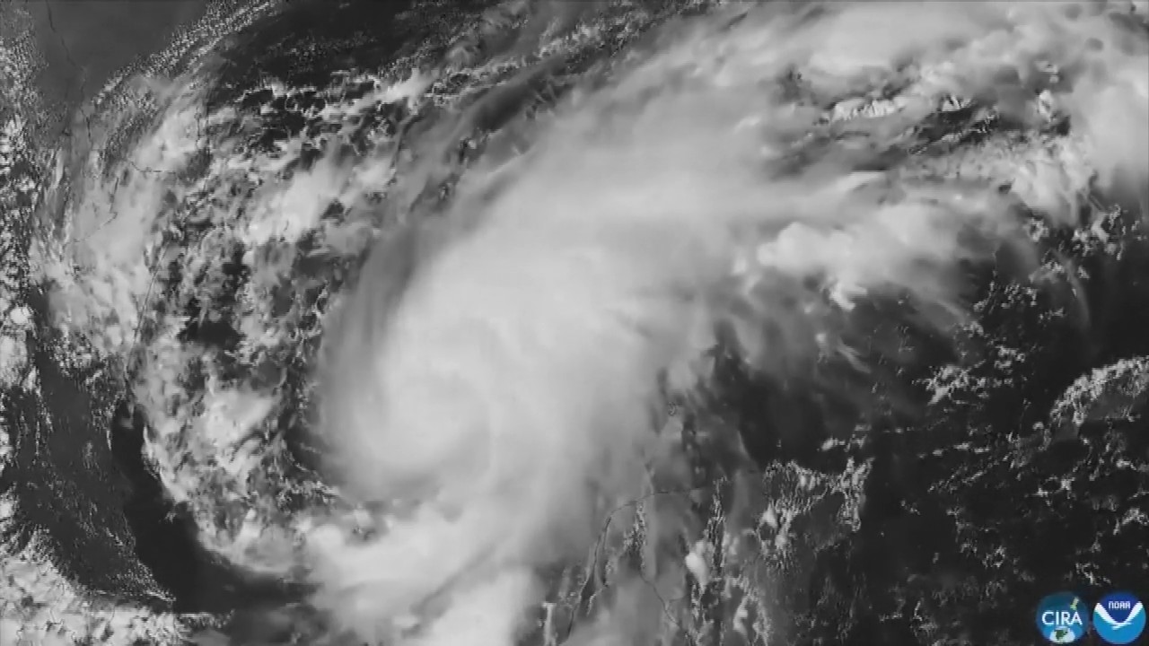 Hurricane Isaias: Residents board up windows and National Guard troops deploy as storm nears US Gulf Coast
— ABC 7 Bay Area, Saratoga Sports news