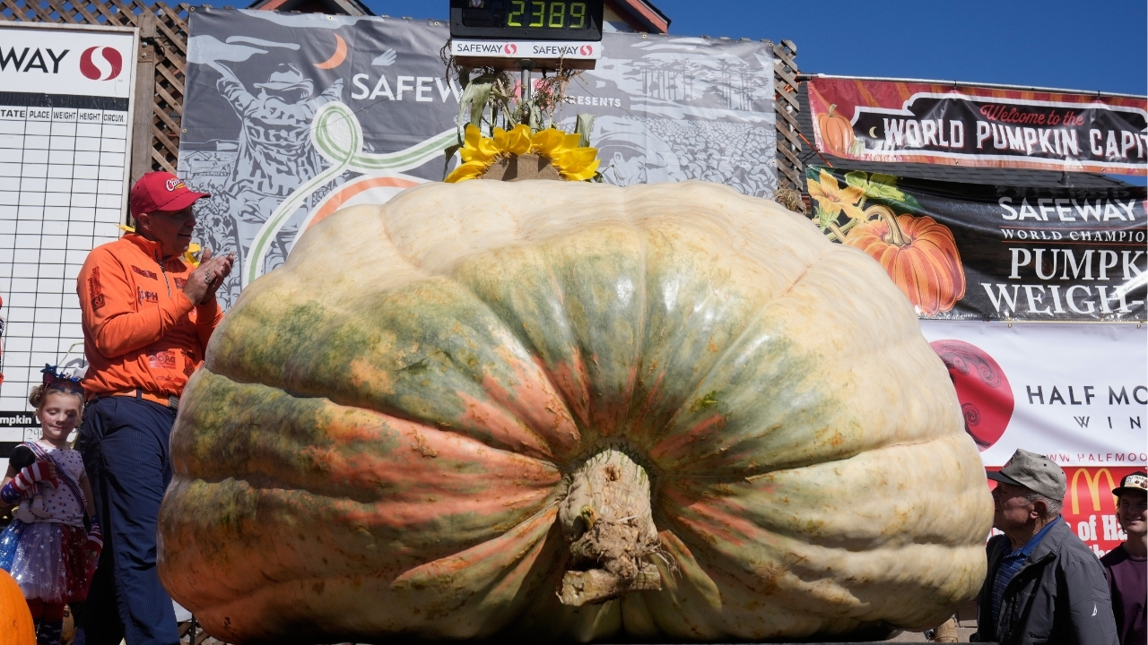 A giant pumpkin named Rocky gives a champion grower his California comeback
— ABC 7 Bay Area, Saratoga Schools news