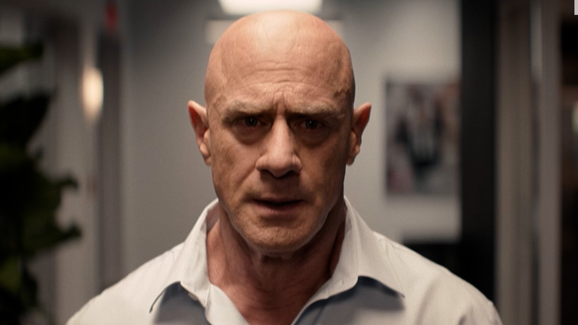 Christopher Meloni, William H. Macy talk football, family in 'The Land' trailer
— ABC 7 Bay Area, Saratoga Sports news