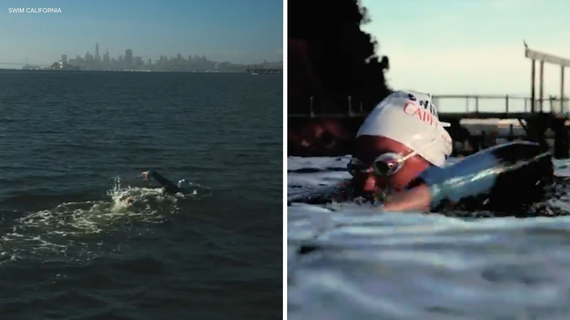 Mill Valley woman Catherine Breed becomes first person to swim entire 900-mile California coast
       — ABC 7 Bay Area, Saratoga Sports news
