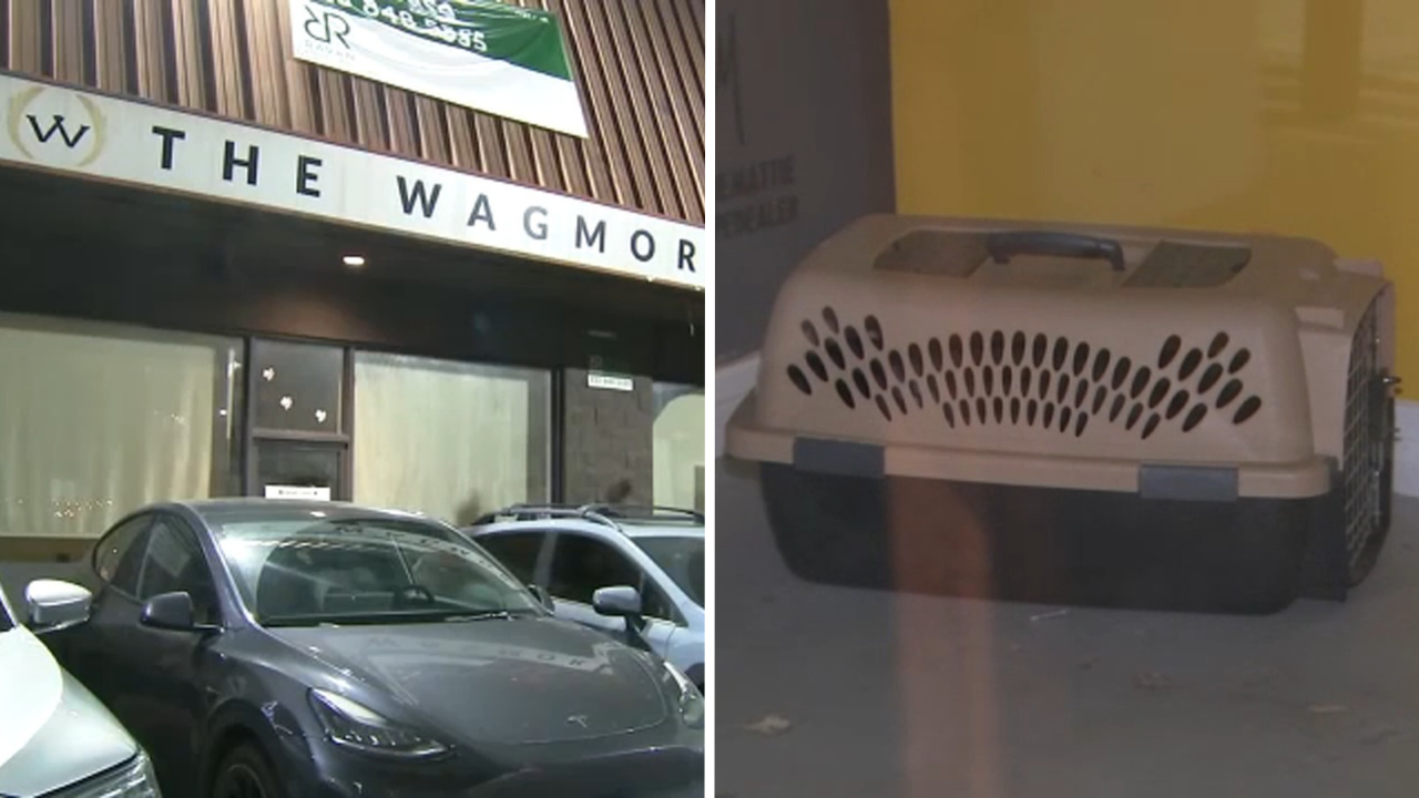 Lawsuit accuses Los Angeles animal rescue of running puppy laundering operation
— Saratoga Community news