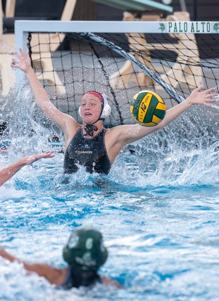 Wilcox Water Polo Caught in Vikings Rip Current — Silicon Valley Voice, Saratoga Sports news