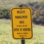 Pointers for Public Land Hunting — NewsDakota, Saratoga Sports news