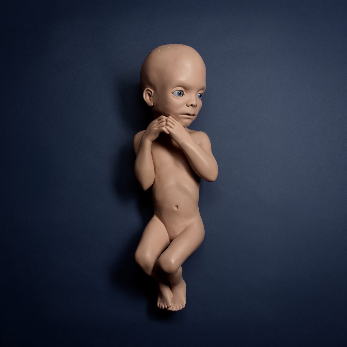 Iconic Stanley Kubrick Props Hit the Auction Block — Los Angeles Magazine, Saratoga Arts news