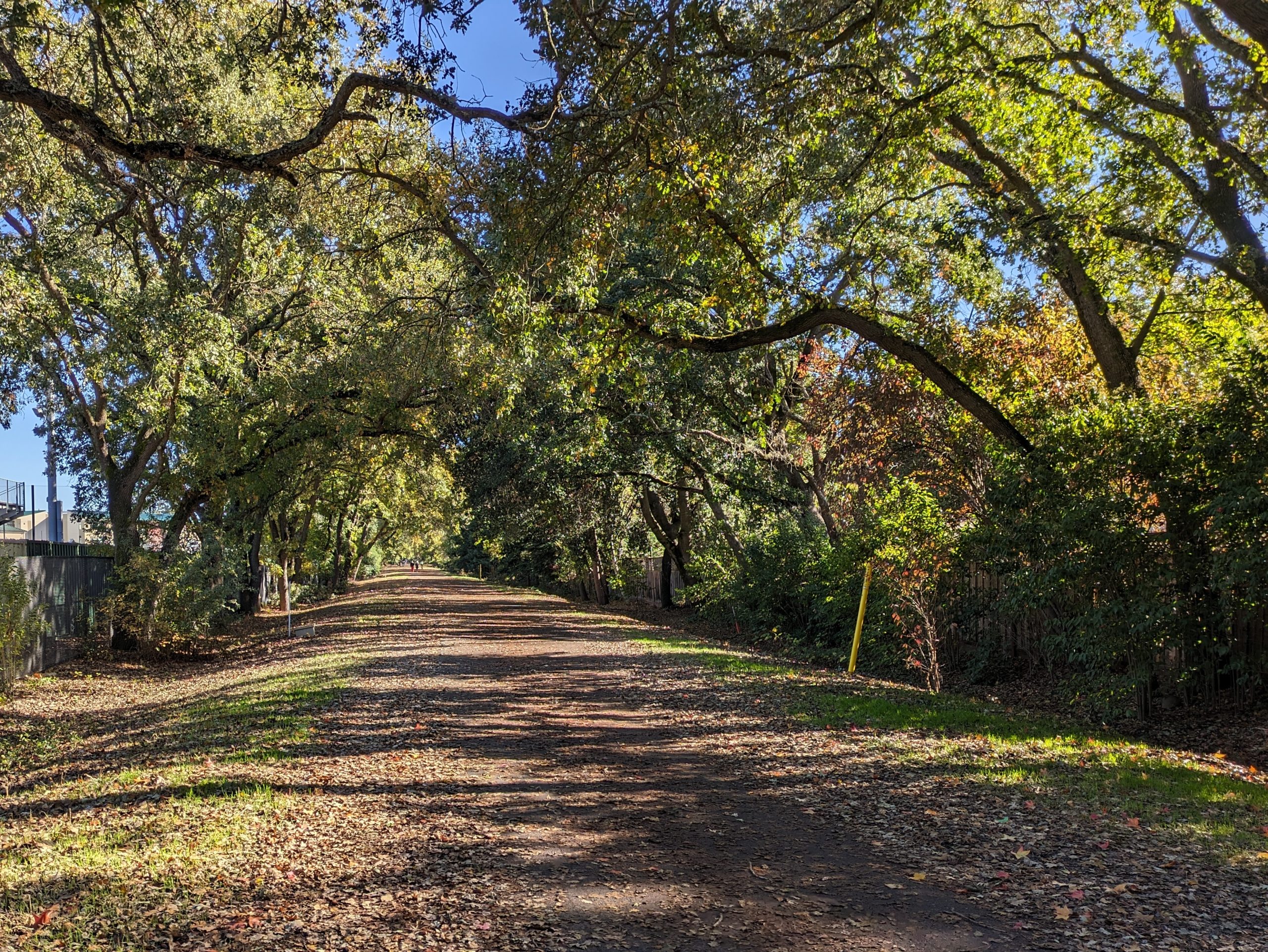 E-bikes have been allowed on East Bay trails for three years. How’s it going? — The Oaklandside, Saratoga Community news