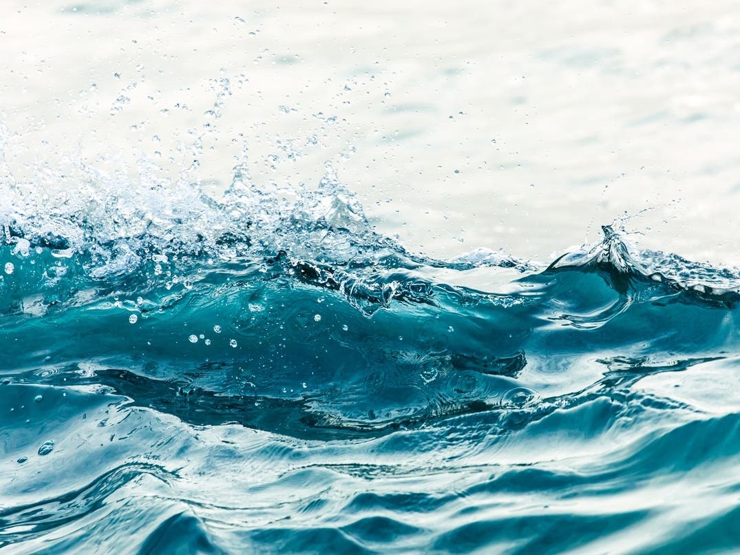 Deadly Hostage Standoff Details | Kelvin Wave Brings Record Sea Levels: Patch PM — San Francisco Patch, Saratoga Community news