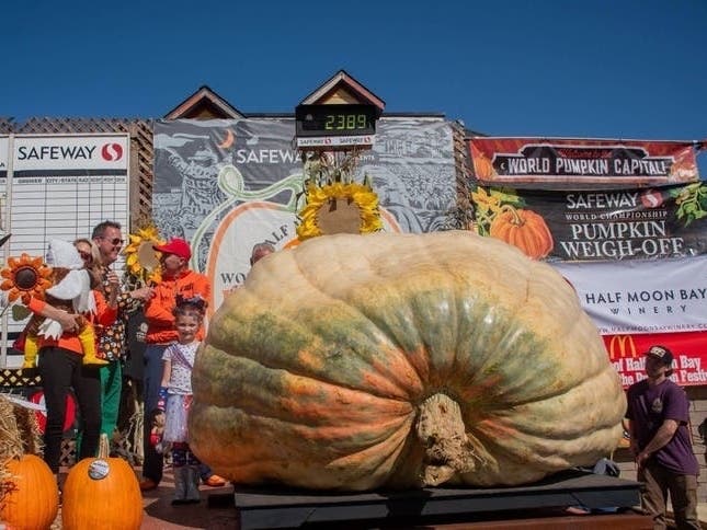 Man Kills Coworker At Shopping Center: PD | World Pumpkin Record? | Tesla Plows Through Front Door: Patch PM — Saratoga Patch, Saratoga Business news