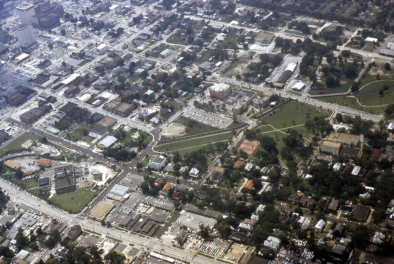 THE JAXSON | The oak tree that remembers Black Bottom — Jacksonville Today, Saratoga Schools news