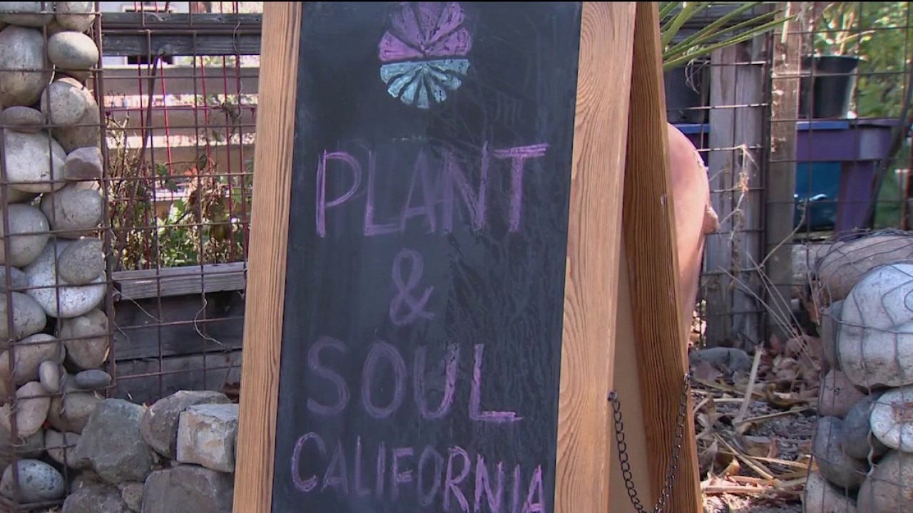 San Jose community garden faces possible eviction — KTVU FOX 2 Bay Area, Saratoga Schools news