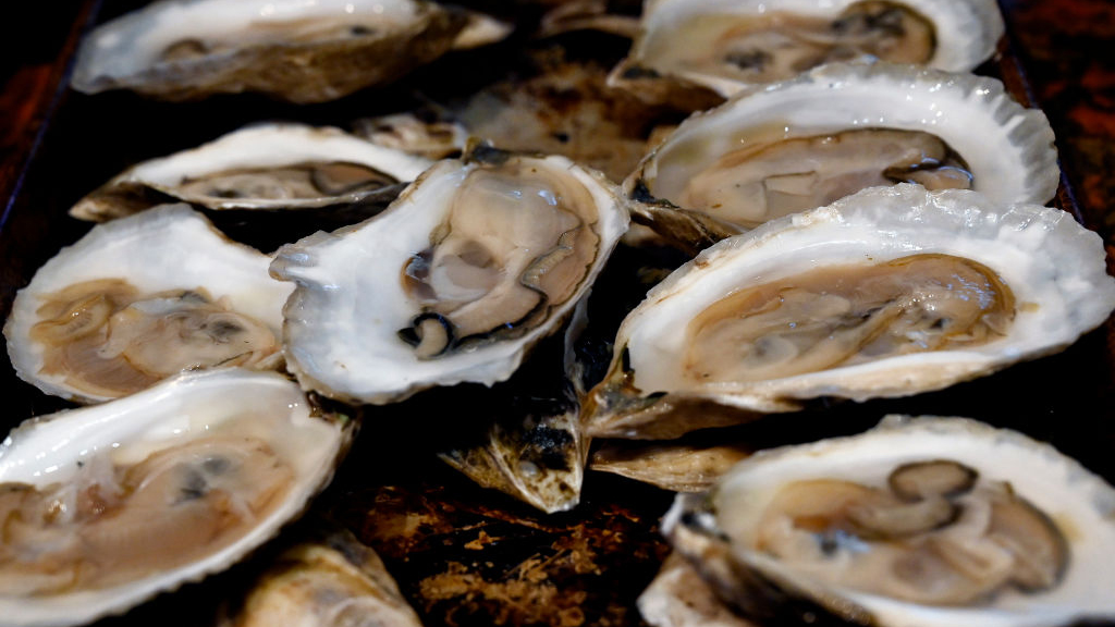 Sewage leak temporarily halts Tomales Bay oyster harvest — KTVU FOX 2 Bay Area, Saratoga Business news