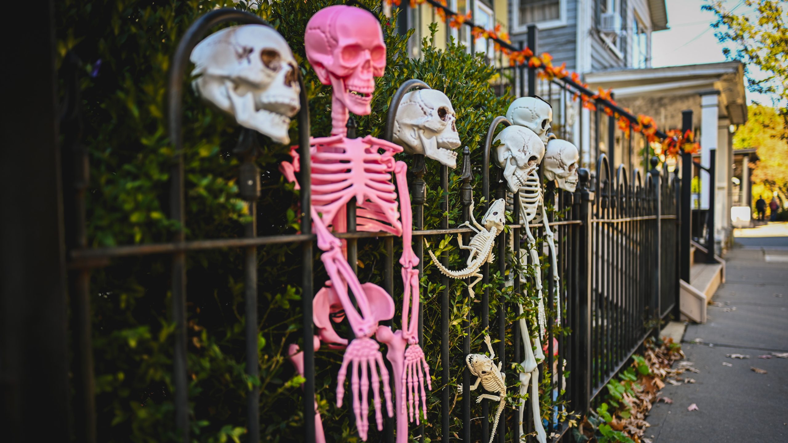 America's best cities for Halloween, ranked — KTVU FOX 2 Bay Area, Saratoga Community news