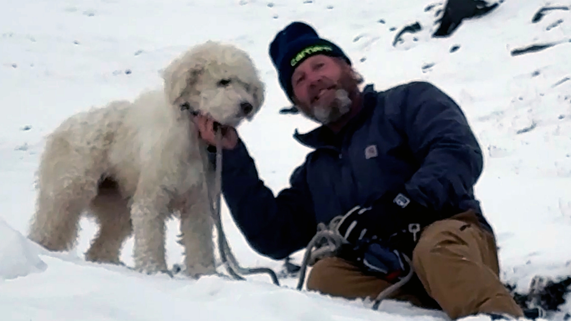 Watch: Dog lost in Alaska avalanche miraculously found 2 days later — KTVU FOX 2 Bay Area, Saratoga Community news